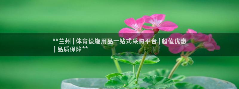 意昂3新能源