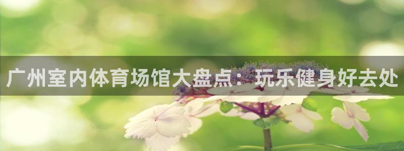 意昂体育3软件：广州室内体育场馆大盘点：玩乐健身好去