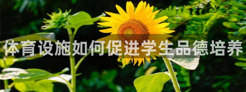 意昂体育3平台注册：体育设施如何促进学生品德培养