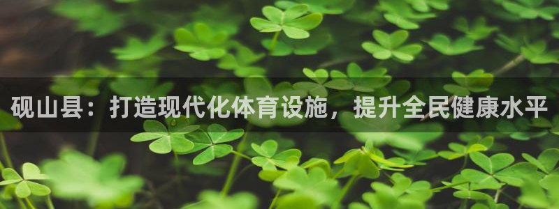 意昂体育3平台注册流程视频：砚山县：打造现代化体育设