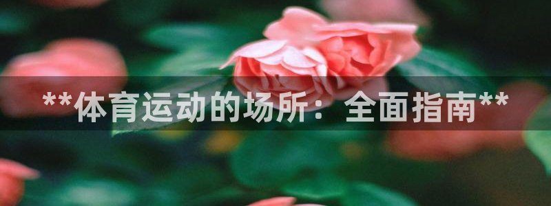 意昂3科技：**体育运动的场所：全面指南**