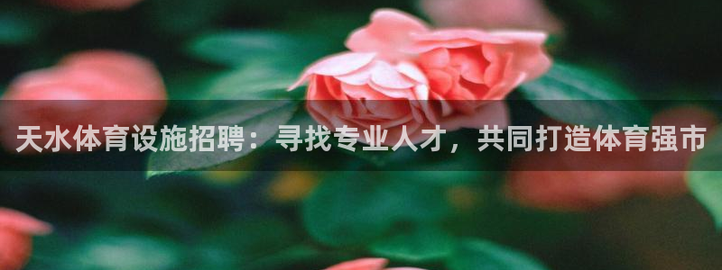 意昂3集团E.ON：天水体育设施招聘：寻找专业人才，共同打造