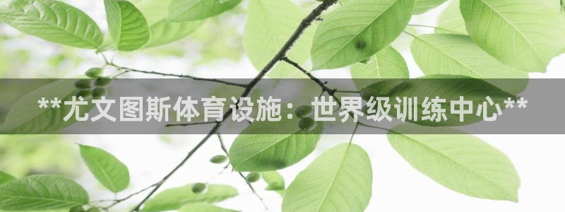 意昂体育3平台是正规平台吗知乎：**尤文图斯体育设施：世界级
