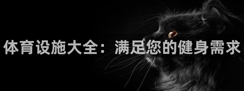 意昂3娱乐首页网站大全：体育设施大全：满足您的健身需求