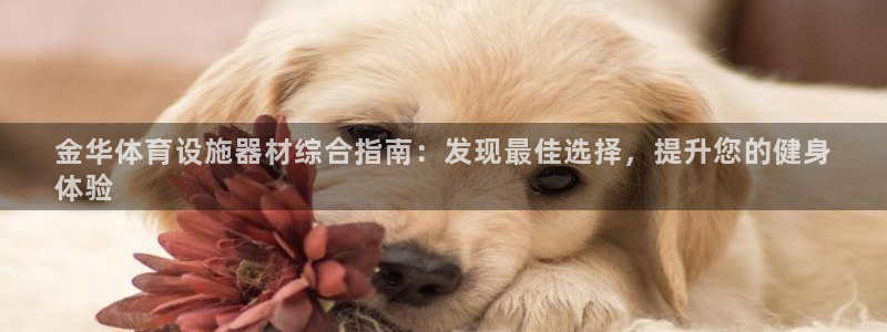意昂3娱乐下载：金华体育设施器材综合指南：发现最佳选择，提升 