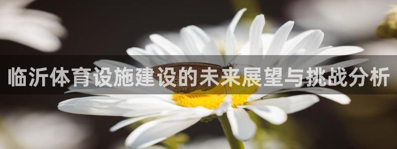 意昂3新能源