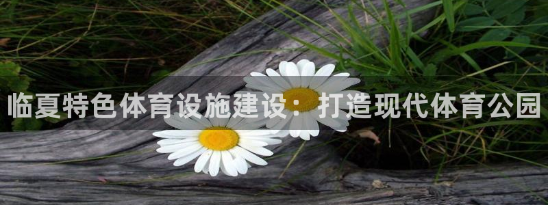意昂3五金厂