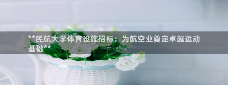 意昂3娱乐平台：**民航大学体育设施招标：为航空业奠定卓越运 