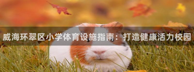 意昂体育3：威海环翠区小学体育设施指南：打造健康活力