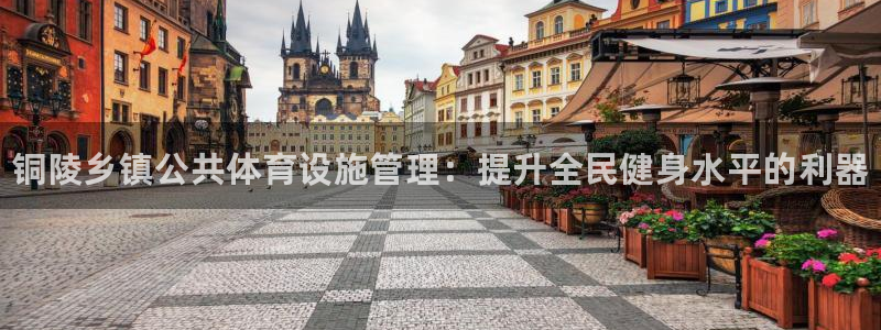 意昂3开户：铜陵乡镇公共体育设施管理：提升全民健身水