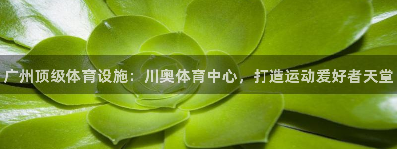 意昂体育3招商电话地址查询：广州顶级体育设施：川奥体