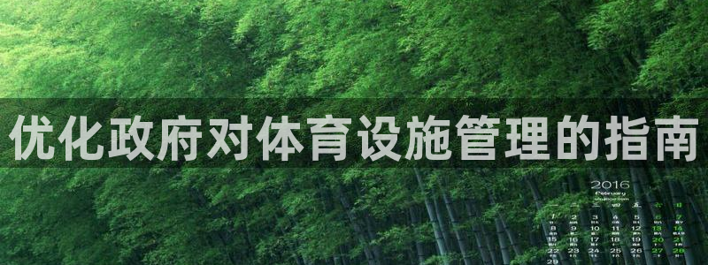 意昂3官方：优化政府对体育设施管理的指南