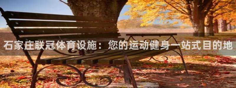 意昂3集团：石家庄联冠体育设施：您的运动健身一站式目