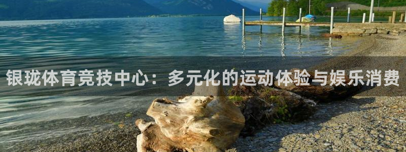 意昂3娱乐40996：银珑体育竞技中心：多元化的运动体验与娱