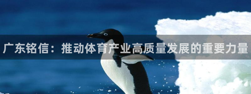 德国意昂3集团：广东铭信：推动体育产业高质量发展的重要力量