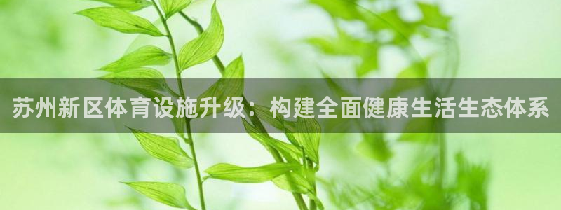 意昂体育3招商电话是多少：苏州新区体育设施升级：构建全面健康 
