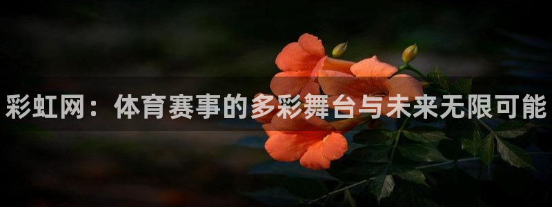 意昂体育3开户：彩虹网：体育赛事的多彩舞台与未来无限