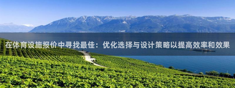 意昂平台体育：在体育设施报价中寻找最佳：优化选择与设计策略以
