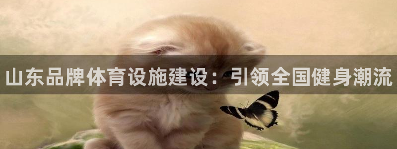 意昂3娱乐首页网站大全：山东品牌体育设施建设：引领全国健身潮 